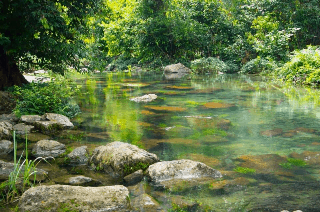 Kết quả hình ảnh cho Vườn quốc gia Xuân Sơn