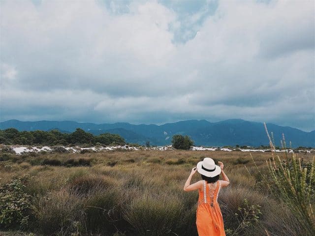 Cánh đồng cỏ lau Quan Lạn