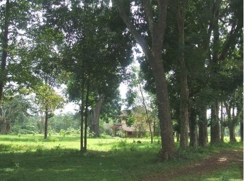 khu du lịch suối tre đồng nai khu du lịch suối tre đồng nai