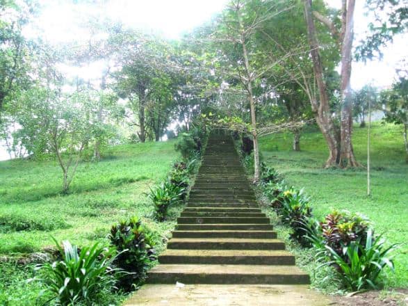 khu du lịch suối tre đồng nai khu du lịch suối tre đồng nai