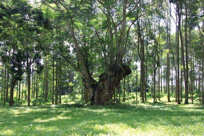 Khu du lịch Suối Tre Đồng Nai Khu du lịch Suối Tre Đồng Nai
