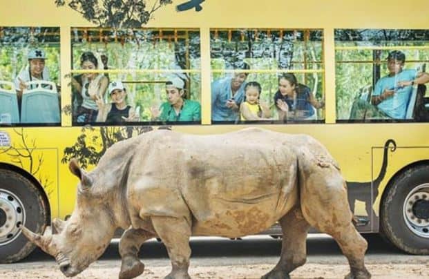 Vinpearl Safari Phú Quốc Vinpearl Safari Phú Quốc