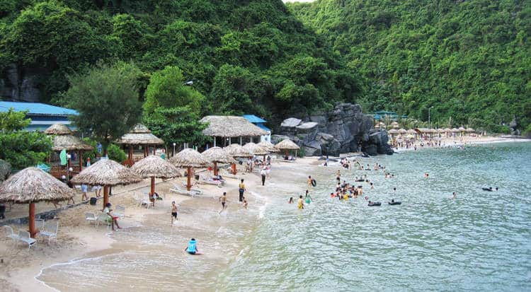 Kết quả hình ảnh cho cát cò