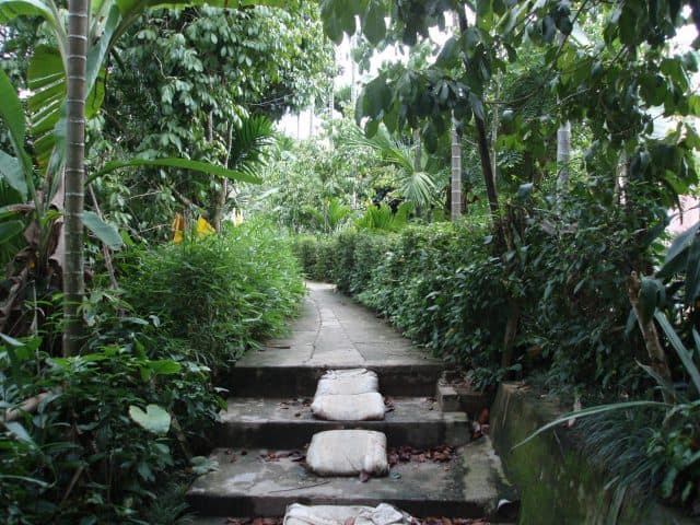 Lối lên làng Đại Đình (Ảnh ST)