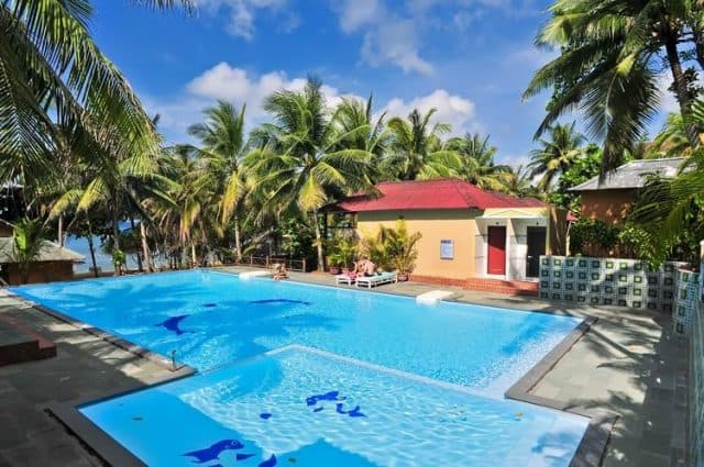 Màu xanh nước của Hồ bơi kết hợp với hàng cau xung quanh tạo nên không khí trong lành (Ảnh ST)