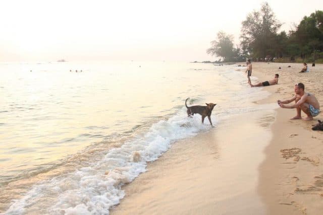 Bãi biển cạnh homestay (Ảnh ST)