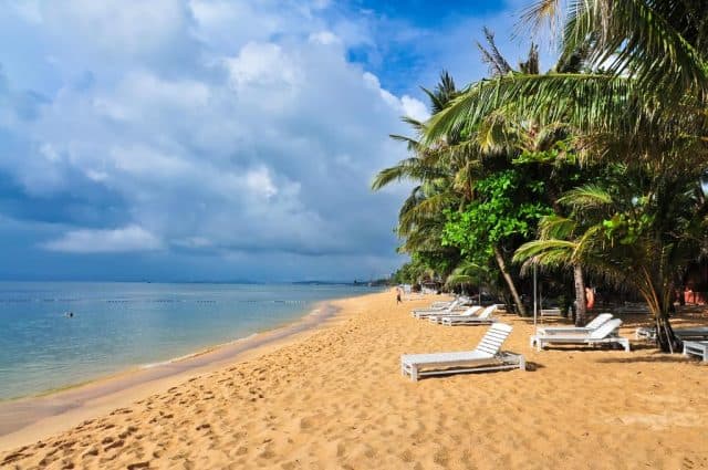 Bờ biển trải dài với những hàng cau xanh vút ( Ảnh ST)