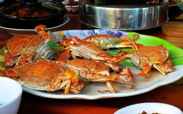mũi gành dầu