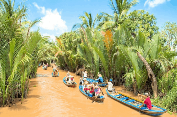Image result for thới sơn cồn phụng