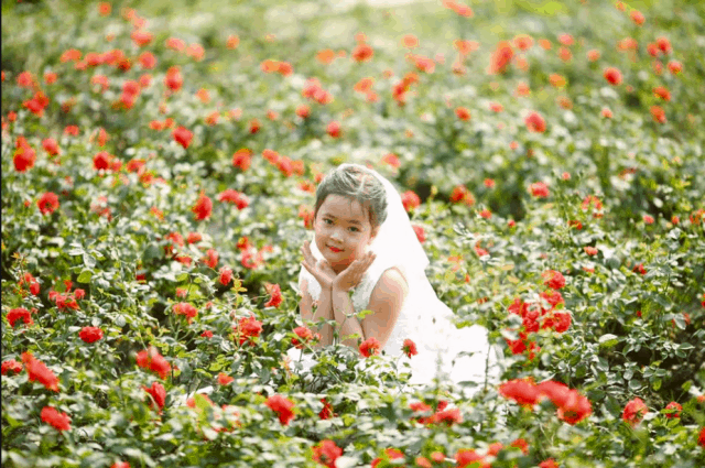 Những hình ảnh đẹp tại vườn hoa Mãn Đình Hồng (ảnh ST) Những hình ảnh đẹp tại vườn hoa Mãn Đình Hồng (ảnh ST)