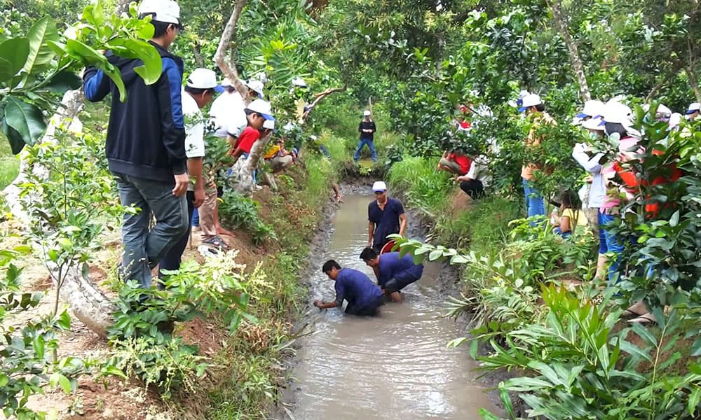 Image result for khu du lịch cồn sơn