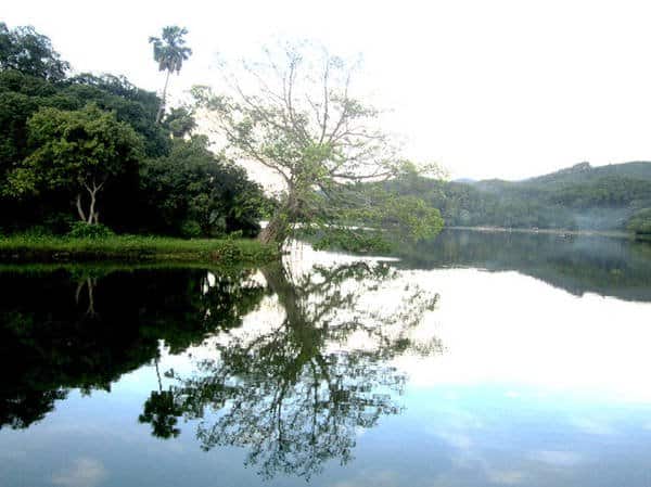 Đầm ao châu