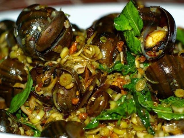 Ốc sào