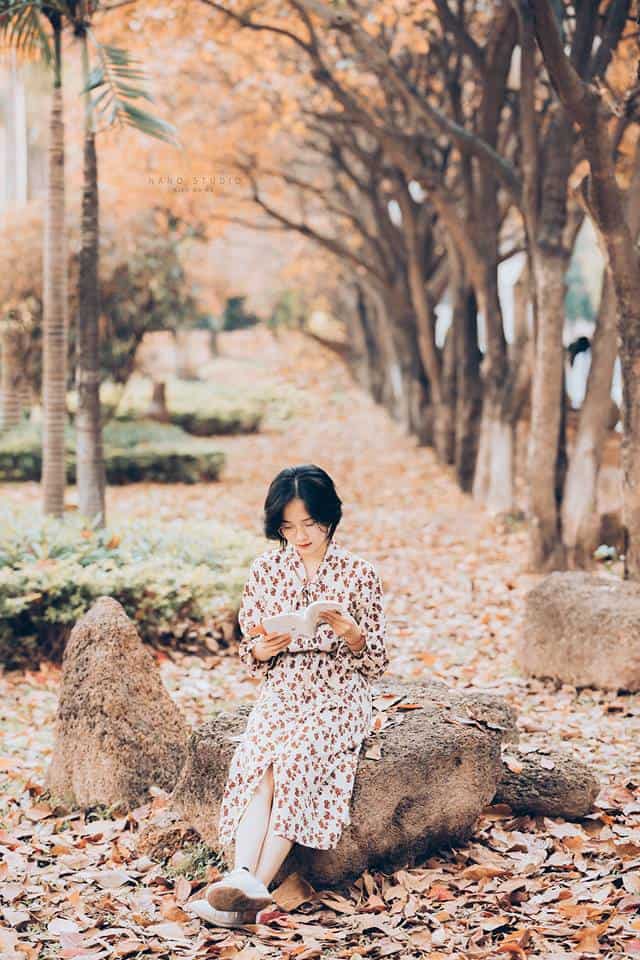 hà nội mùa thay lá