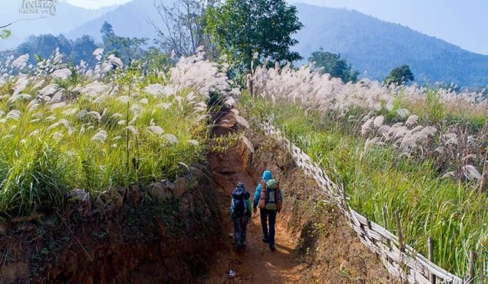 Núi Hàm Lợn
