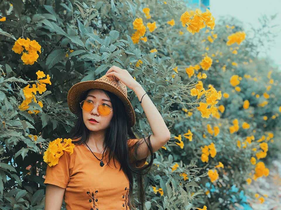 hoa huỳnh liên