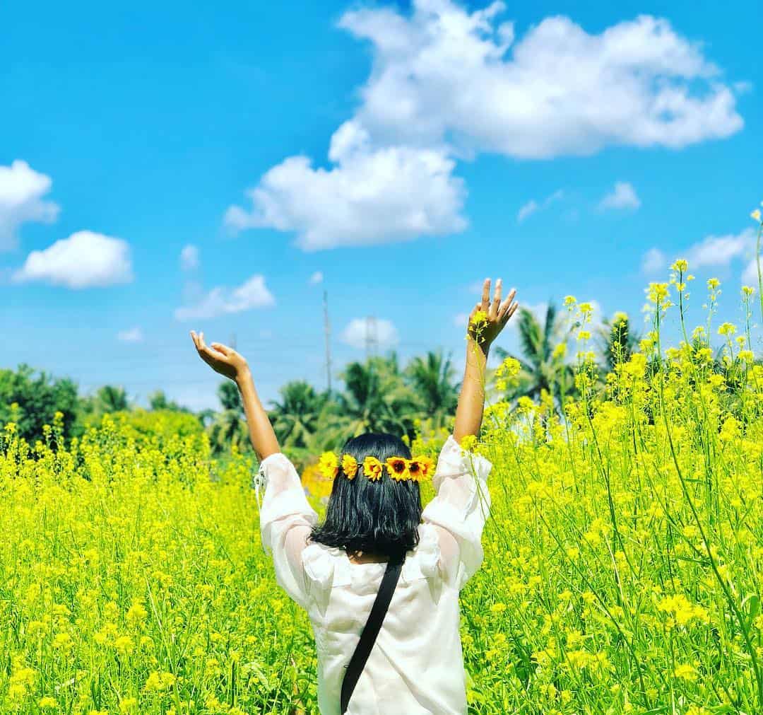 hoa cải đà lạt
