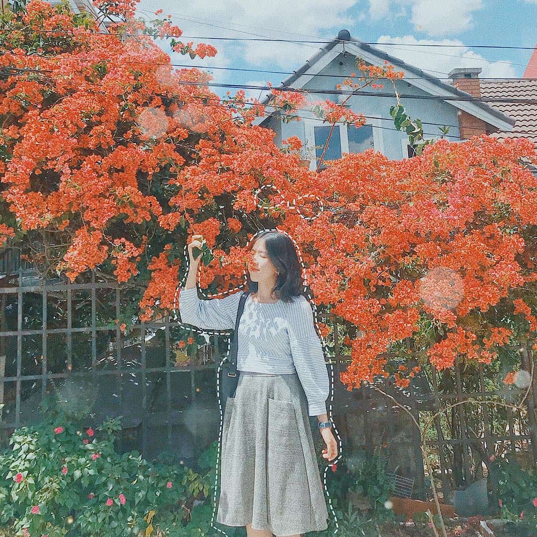 đà lạt
