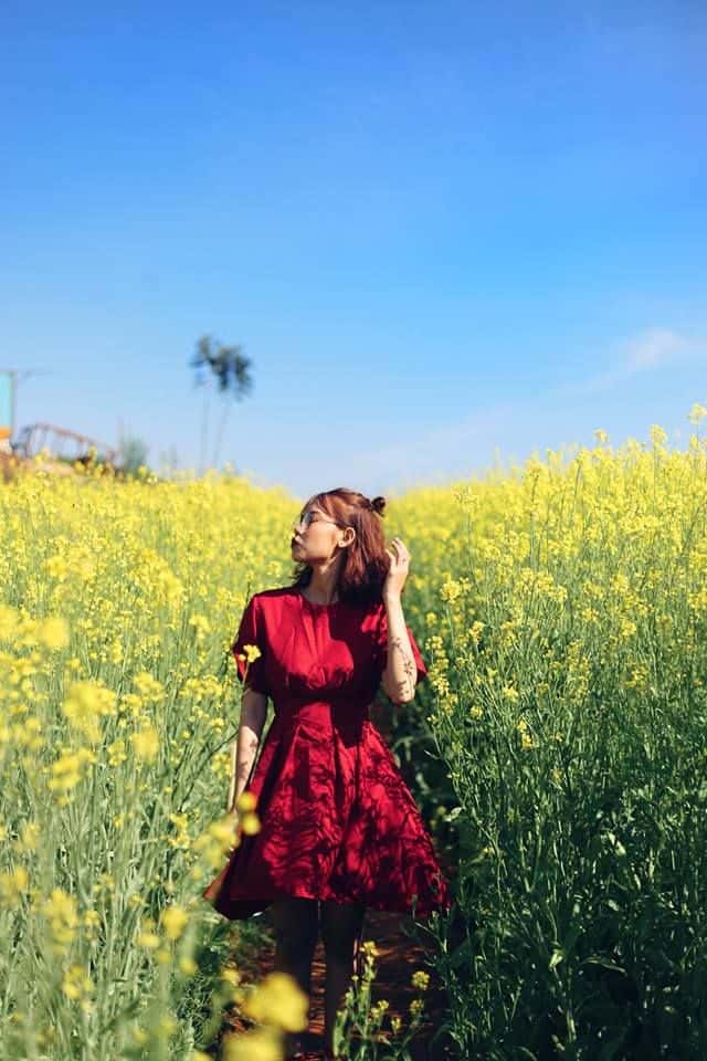 Hoa cải Đà Lạt