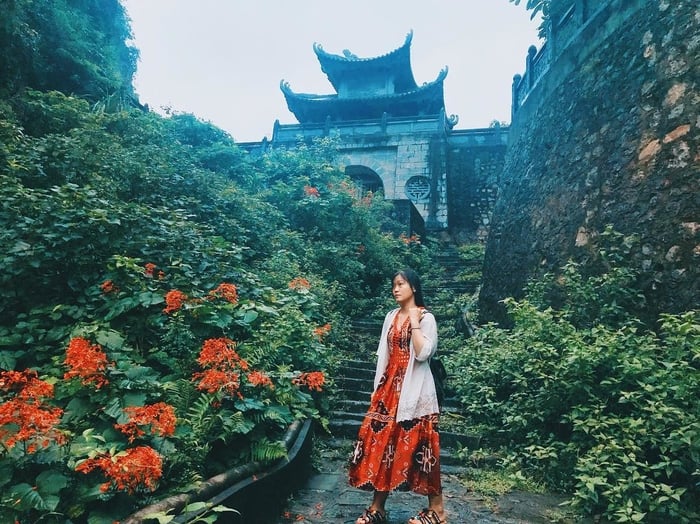 ninh bình