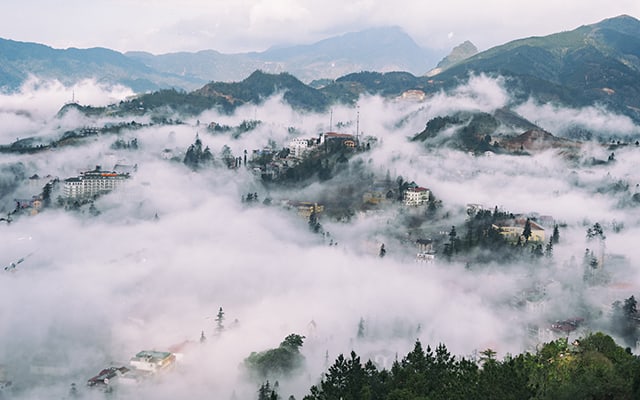 sapa