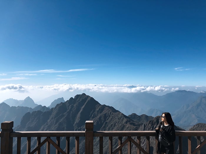 Sapa