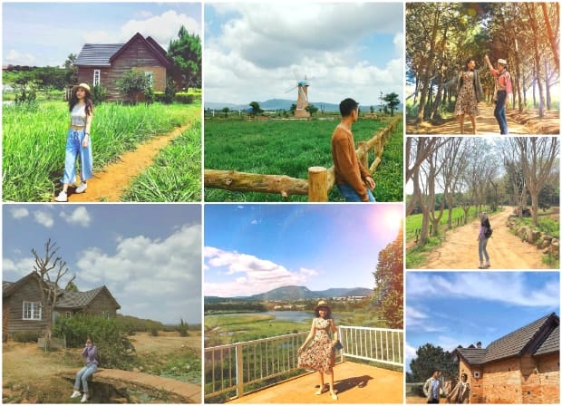 Đà Lạt Milk Farm - Muôn ngàn góc sống ảo. 