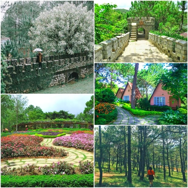 Vẻ đẹp thơ mộng của đồi Mộng Mơ. 