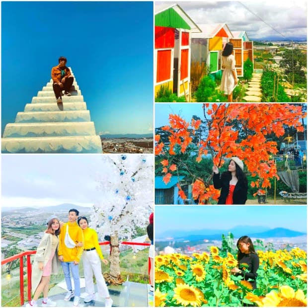 Sunny Farm - Thiên đường sống ảo của giới trẻ khi đi du lịch Đà Lạt.