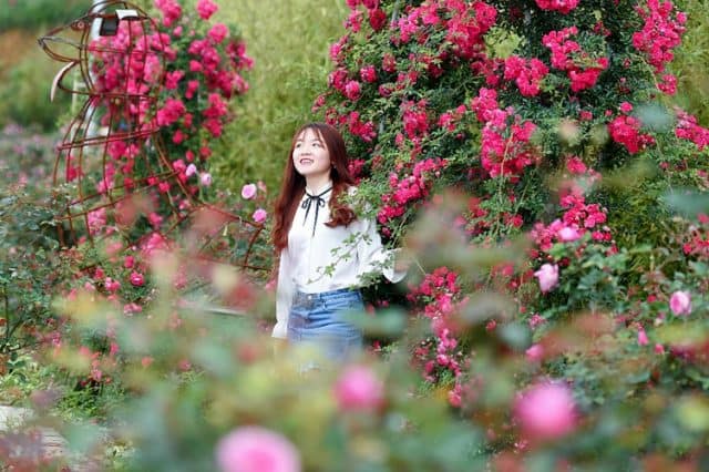 Mọi góc tại thung lũng đều có thể cho ra những bức ảnh đẹp