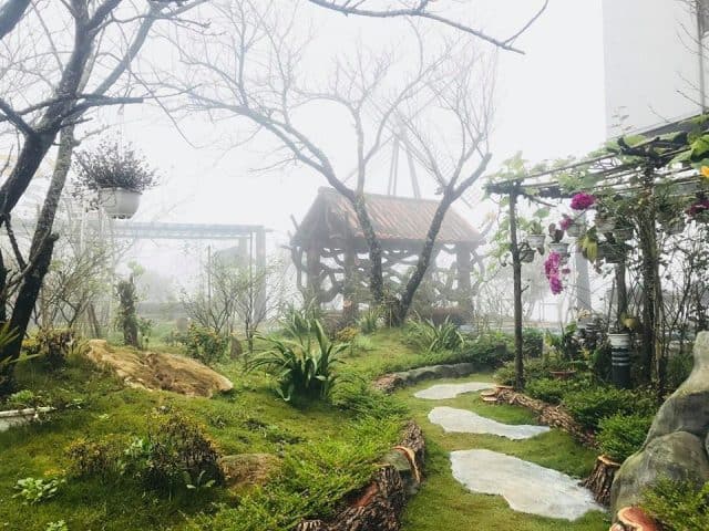 Không gian nhiều mảng xanh của Homestay discovery Sapa