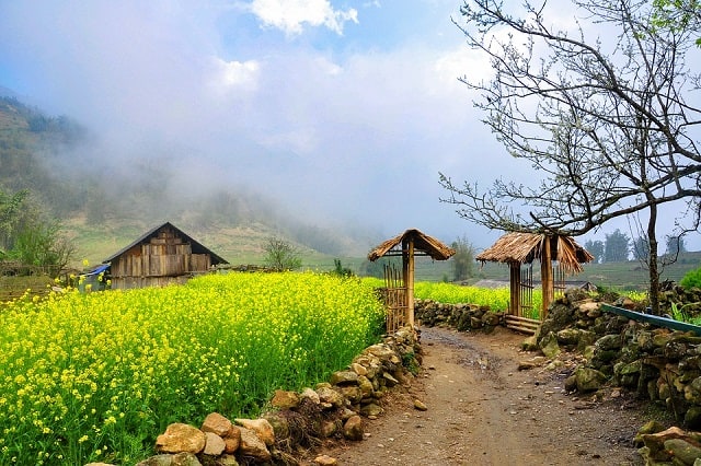 Sắc xuân len lỏi theo từng con đường trên bản nhỏ Sắc xuân len lỏi theo từng con đường trên bản nhỏ