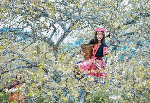 Sapa e ấp bung nở vào Xuân như người con gái vùng sơn cước Sapa e ấp bung nở vào Xuân như người con gái vùng sơn cước