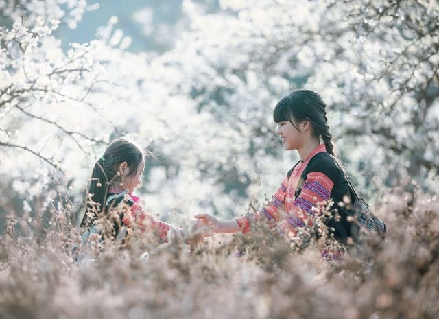 Sapa phủ trắng cả một vùng trời một màu trắng tinh khôi Sapa phủ trắng cả một vùng trời một màu trắng tinh khôi