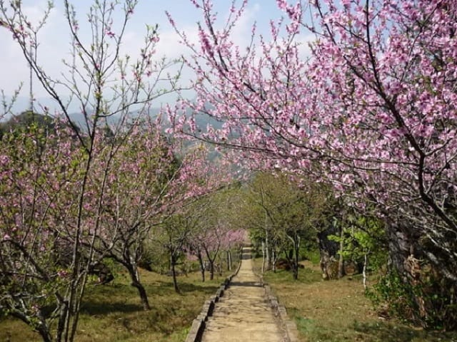 Đường lên Cổng Trời kỳ bí, ảo diệu như đến chốn bồng lai tiên cảnh Đường lên Cổng Trời kỳ bí, ảo diệu như đến chốn bồng lai tiên cảnh