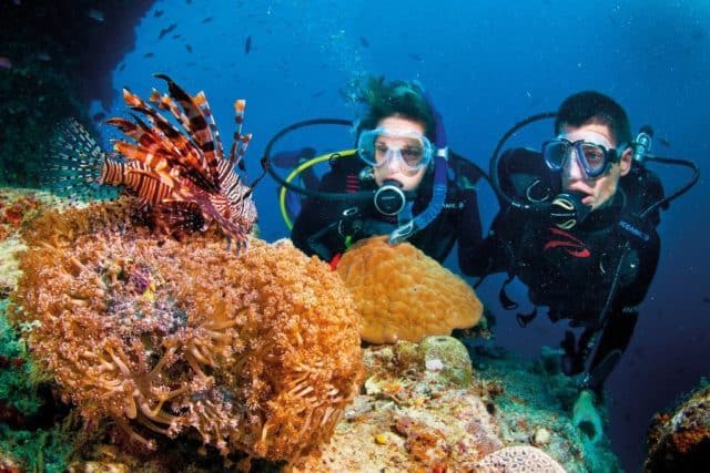Lặn biển ngắm san hô chắc chắn sẽ là một trải nghiệm thú vị mà bạn và người yêu không thể quên được.