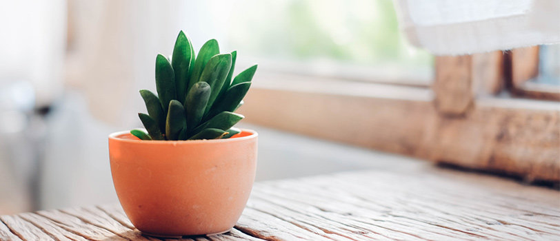 Quà tặng valentine