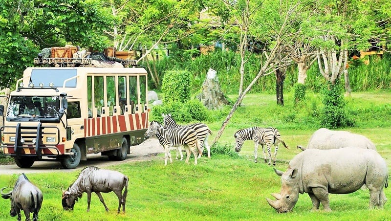Công viên FLC Zoo Safari Park Quy Nhơn với rất nhiều loại động vật hoang dã tự nhiên. Ảnh St
