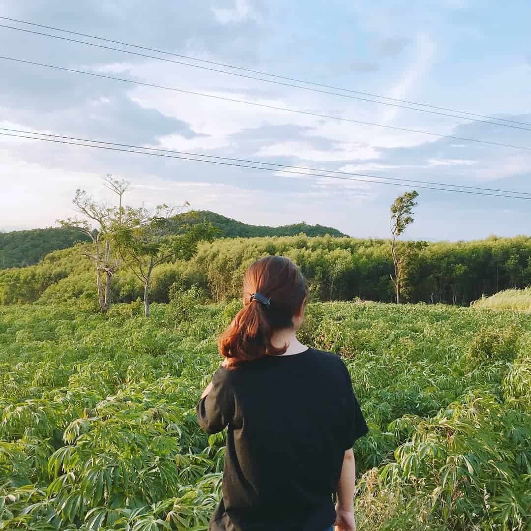 Những khu vườn bên đường. Hình: @tonhu.tr